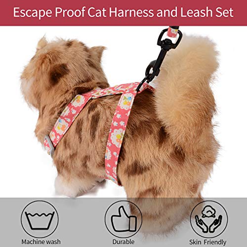 HAPPY HACHI Arnes Gato Pequeño con Correa Nylon Chaleco Perros Ajustable Prueba de Antiescape LiberacióN RáPida para Caminar, Entrenar(M, Rosa)
