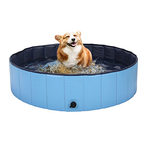 HAPPY HACHI Piscina para Perros Plegable, Bañera Gato Rigida PVC Antideslizante Resistente al Desgaste con Válvula, para Mascotas Pequeñas, Medianas, Grandes, Tanto Interior Como Exterior (100x30 cm)