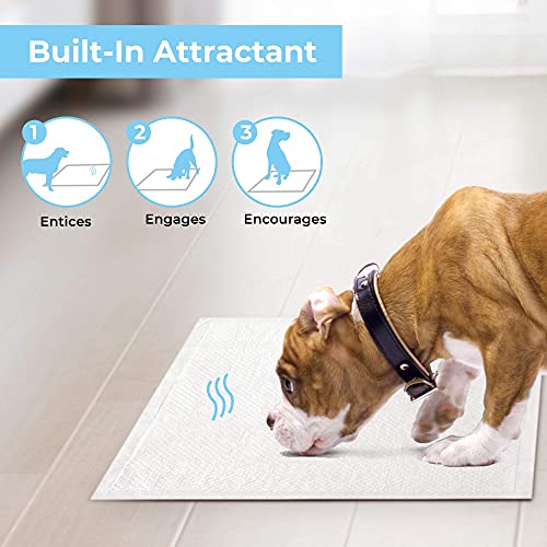 HAPPY HACHI Toallitas Entrenamientopara Perros, Pañales Empapadores para Mascotas Cachorros Absorción Alfombrilla Higiénica para Gatos(50 Unidades, 56*56 cm)