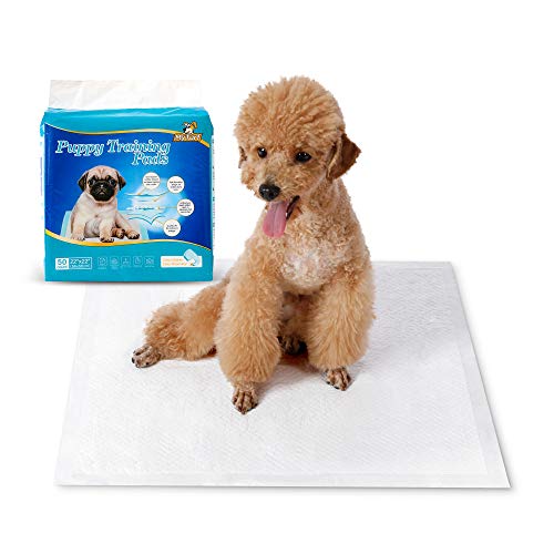 HAPPY HACHI Toallitas Entrenamientopara Perros, Pañales Empapadores para Mascotas Cachorros Absorción Alfombrilla Higiénica para Gatos(50 Unidades, 56*56 cm)
