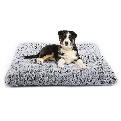 Haustier beruhigend Outdoor Indoor Welpe Hund Katze liebt Betten & Möbel Schlafsofa Kiste Matte Matratzenkissen Anti Angst Oxford kaubeständig Klein Mittel groß übergröße (S, Gradient Grey)
