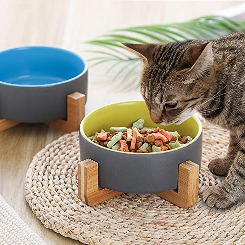 HCHLQLZ Gris Verde Ceramica Comedero Perro y Comedero Gato - 400 ml - En un Elegante Soporte de bambú - También Adecuado para Perros Grandes/Grandes felinos