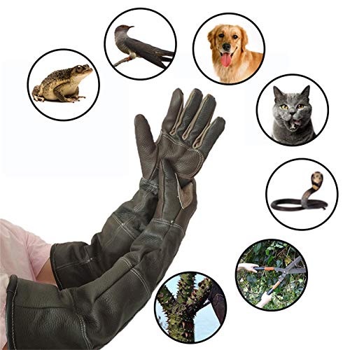 Hearthxy Guantes resistentes a las mordeduras para gatos y perros, guantes de piel resistentes a los pinchazos, guantes de jardinería largos para perros, gatos, pájaros, serpientes, cactus y rosas
