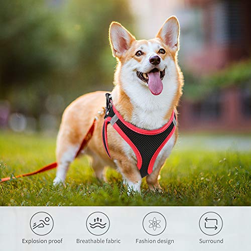 HEELE Arnés Chaleco Gatito Perro Pequeño Ajustable Suave Acolchado Cómodo para Viajar Pasear con Mascota Pequeña Cachorro Chihuahua, Negro y Rojo, XS