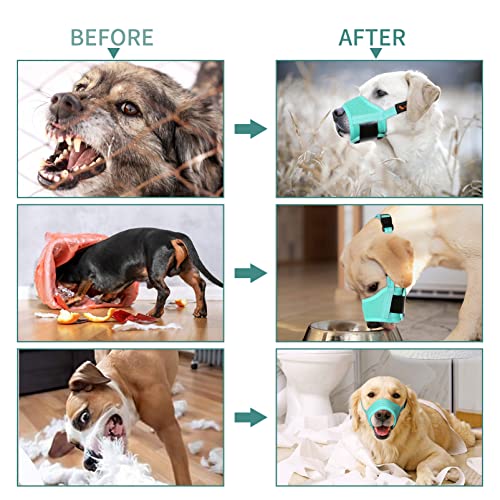 HEELE Bozal para Perros Bozal Perro Anti-Mordedor Fit Bozal para Perros Malla Transpirable con Forma de Boca para Perros, Verde, S