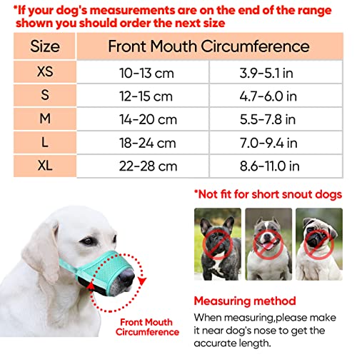HEELE Bozal para Perros Bozal Perro Anti-Mordedor Fit Bozal para Perros Malla Transpirable con Forma de Boca para Perros, Verde, S