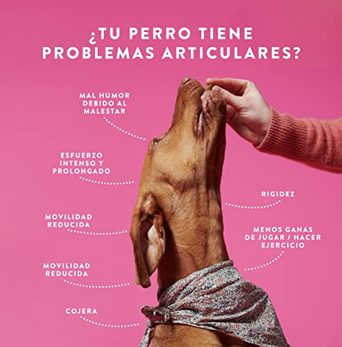 Hello Jack Suplemento para Perros Movilidad Move - Golosinas para Huesos y Articulaciones - Con Mejillones de Labios Verdes, Glucosamina, Condroitina, Cúrcuma, Aceite de Pescado Omega 3 - Dulces 190g