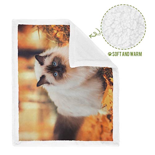 Hengpai Gatos pedigrí Siamés ojos azules follaje amarillo impresión caliente mascota manta cubierta de cama para gatos mantas
