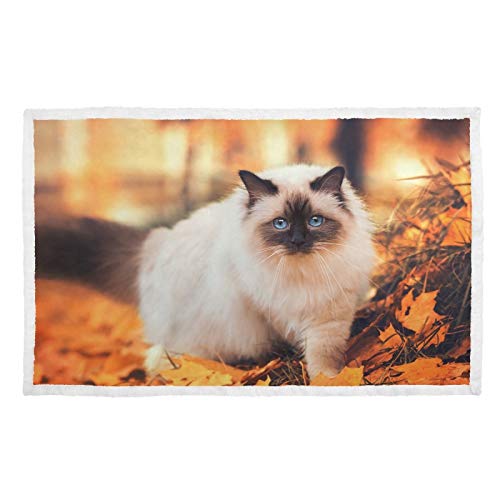 Hengpai Gatos pedigrí Siamés ojos azules follaje amarillo impresión caliente mascota manta cubierta de cama para gatos mantas