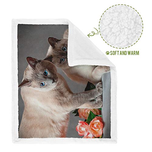 Hengpai Manta de gato con impresión cálida para mascotas, diseño de gatos siameses con ojos azules