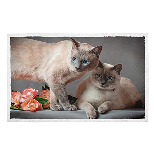 Hengpai Manta de gato con impresión cálida para mascotas, diseño de gatos siameses con ojos azules