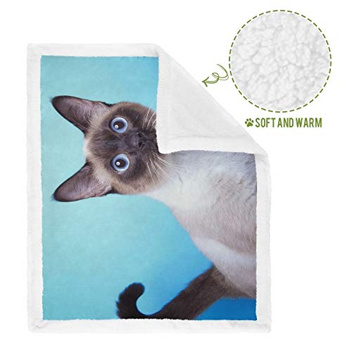 Hengpai Manta para mascotas para gatos y gatos con miedo de ojos azules siameses