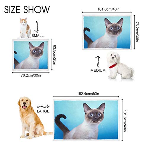Hengpai Manta para mascotas para gatos y gatos con miedo de ojos azules siameses