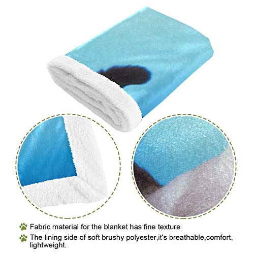 Hengpai Manta para mascotas para gatos y gatos con miedo de ojos azules siameses