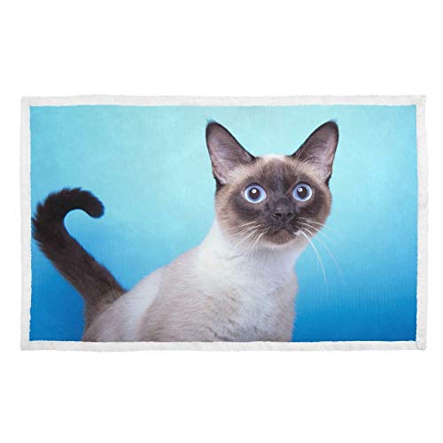 Hengpai Manta para mascotas para gatos y gatos con miedo de ojos azules siameses