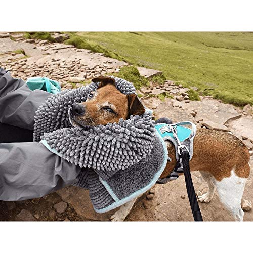 Henry Wag Toalla de Guante de fideo de Microfibra - Azul/Gris