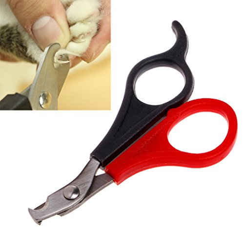 hetuioiyster Cortaúñas Mascotas, Perros y Gatos, Cortador de Garras, Tijeras de Aseo, recortadores, Tijeras para el Cuidado de los Dedos de los pies, uñas