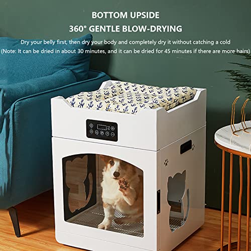 HGML Secador de Pelo para Mascotas, Caja de Secado por Mascotas, soplador de Belleza Inteligente Profesional, Seguridad cómoda y Conveniente, silencioso Secado rápido Sec 500x490x665mm