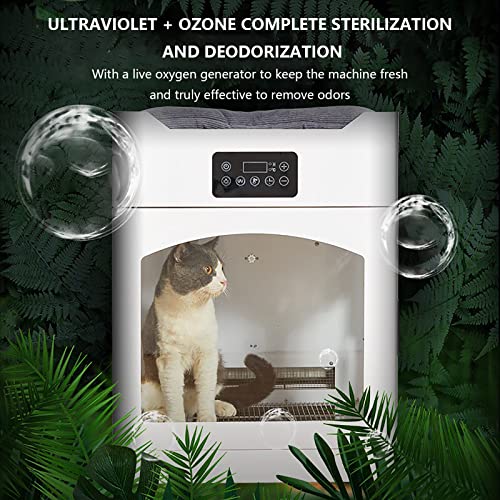 HGML Secador de Pelo para Mascotas, Caja de Secado por Mascotas, soplador de Belleza Inteligente Profesional, Seguridad cómoda y Conveniente, silencioso Secado rápido Sec 500x490x665mm