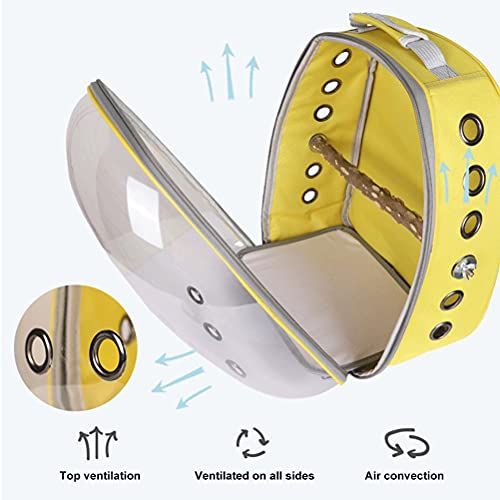 Hidyliu Pet Parrot Carrier PVC transparente jaula bolsa transpirable loros viaje mochila cápsula espacio mochila loro jaulas con bolígrafos para animales pequeños (negro)