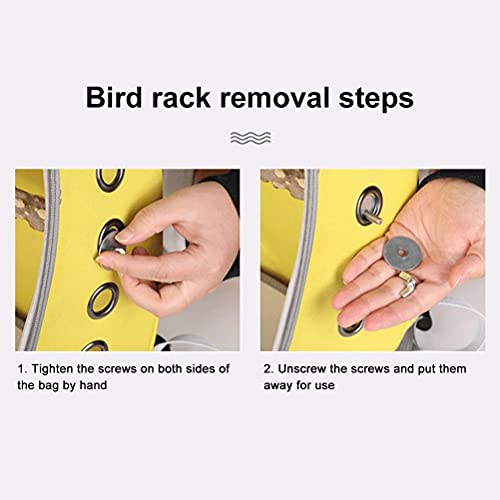 Hidyliu Pet Parrot Carrier PVC transparente jaula bolsa transpirable loros viaje mochila cápsula espacio mochila loro jaulas con bolígrafos para animales pequeños (negro)