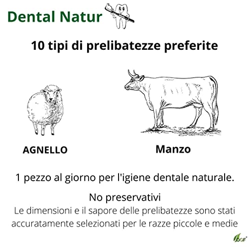Higiene dental dental para perros, 100% ayuda natural al lavarse los dientes, golosinas naturales OGF (S)