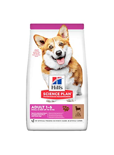 Hill's Canine Adult Small & Mini Lamm & Reis Comida para Perros - 300 gr