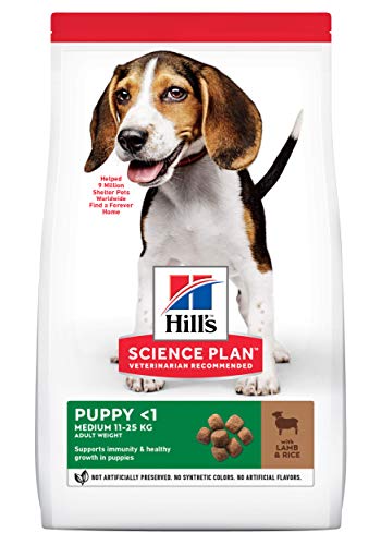 Hill's Canine Puppy Lamb & Rice Comida para Perros - 12000 gr