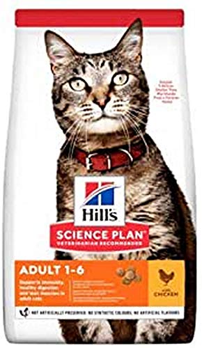 Hills Pet Nutrition S.L. SP Feline Adult Pollo 10Kg 604174 500 g
