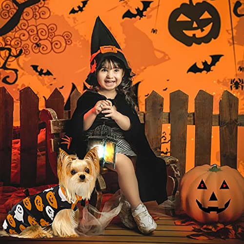 Hipet Traje de recuperación quirúrgica para perros para heridas abdominales o enfermedades de la piel, mono para la cirugía E-collar y cono alternativo anti-mordedura herida (L, Halloween)