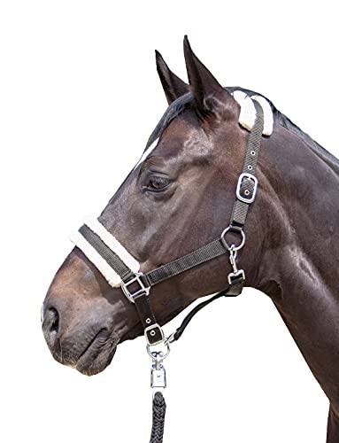 HKM 11796 - Cabestro para caballo (acolchado), color gris claro