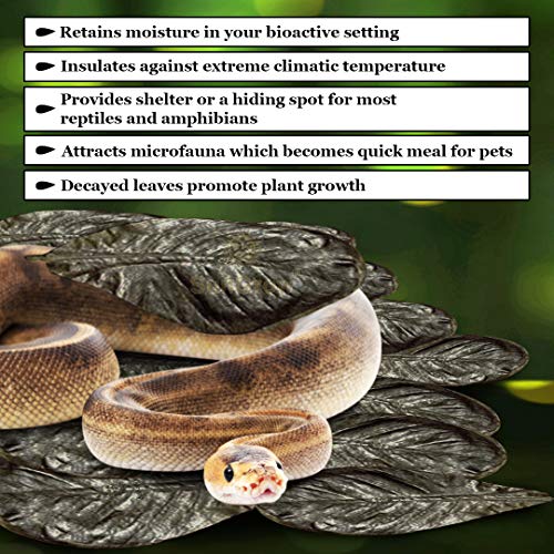 Hojas para reptil SunGrow, hojas de 10 pulgadas, mantiene la humedad en el terrario, 30 hojas por paquete