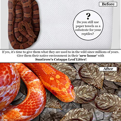Hojas para reptil SunGrow, hojas de 10 pulgadas, mantiene la humedad en el terrario, 30 hojas por paquete
