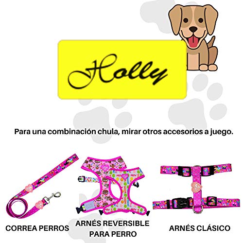 Holly Mascotas Collar de Perro Acolchado, Suave Acogedor, Collar Transpirable para Perros pequeños/medianos/Grandes, Collares Ligeros de Entrenamiento al Aire Libre Hechos en España Gran Acabado.
