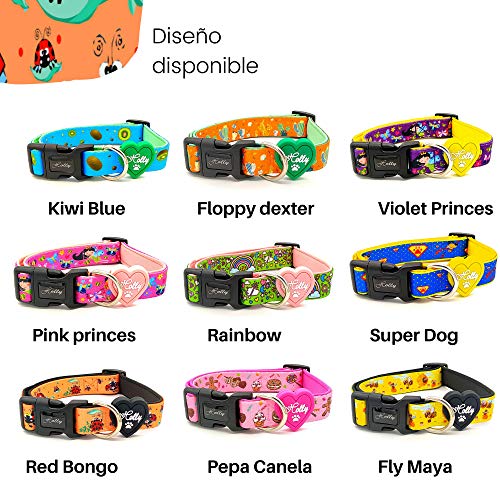Holly Mascotas Collar de Perro Acolchado, Suave Acogedor, Collar Transpirable para Perros pequeños/medianos/Grandes, Collares Ligeros de Entrenamiento al Aire Libre Hechos en España Gran Acabado.