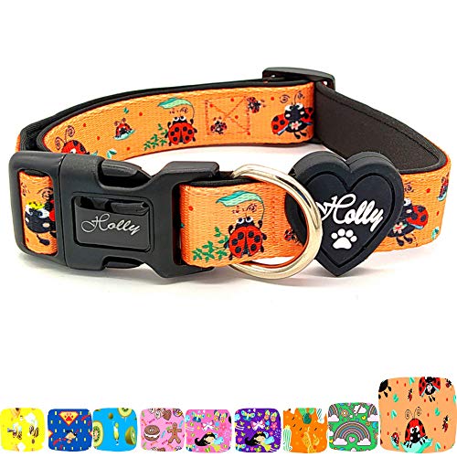 Holly Mascotas Collar de Perro Acolchado, Suave Acogedor, Collar Transpirable para Perros pequeños/medianos/Grandes, Collares Ligeros de Entrenamiento al Aire Libre Hechos en España Gran Acabado.