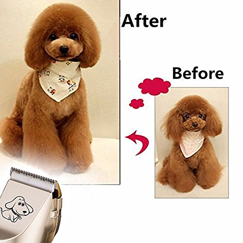 Home-Neat cerámica Cortapelos para animales (Perros Gatos Esquiladora Animales - Máquina de Cortar Pelo Mascotas Trimmer afeitadora tiersc herm aschine con Batería 4 accesorios para 25 posiciones