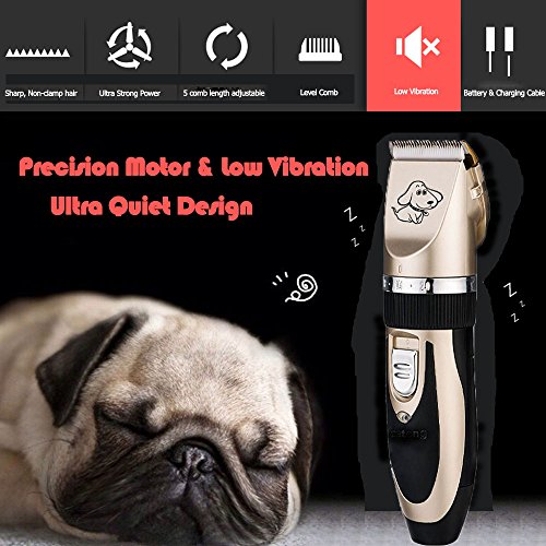 Home-Neat cerámica Cortapelos para animales (Perros Gatos Esquiladora Animales - Máquina de Cortar Pelo Mascotas Trimmer afeitadora tiersc herm aschine con Batería 4 accesorios para 25 posiciones