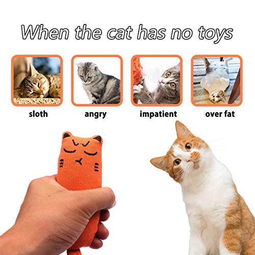 HONGECB Juguete Hierba Gatera, Interactiva Mascota, Dientes para Masticar limpios, Juguetes Simulación Peluches, Hierba Gatera Almohada, Apto para Todos los Gatos y Gatitos