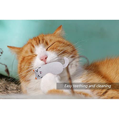 HONGECB Juguete Hierba Gatera, Interactiva Mascota, Dientes para Masticar limpios, Juguetes Simulación Peluches, Hierba Gatera Almohada, Apto para Todos los Gatos y Gatitos