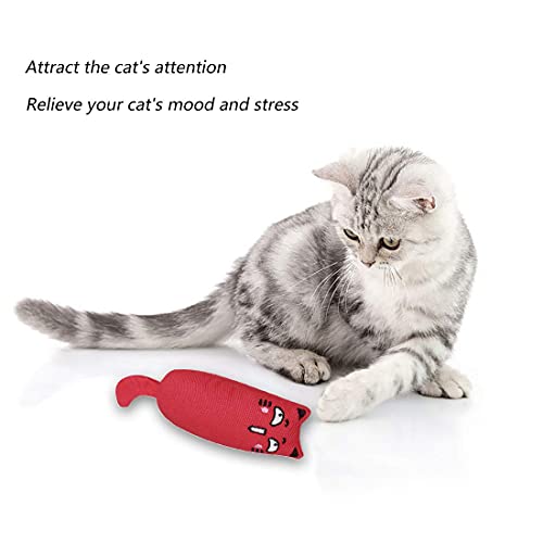 HONGECB Juguete Hierba Gatera, Interactiva Mascota, Dientes para Masticar limpios, Juguetes Simulación Peluches, Hierba Gatera Almohada, Apto para Todos los Gatos y Gatitos