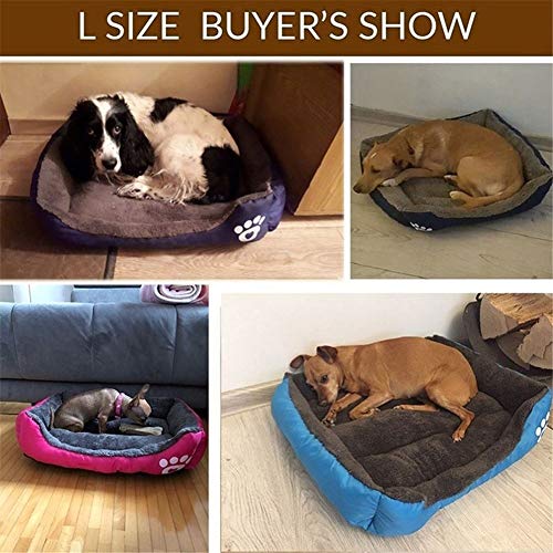 hongyupu Cama para Gatos Cama Perro pequeño Gatito Cama Camas de Gato para Gatos medianos Perro Cama Cueva Nido Mascota Camas para Perros Perro sofá Cama Royal Blue,l