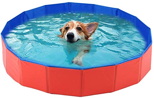 Hoom Piscina Plegable para Perros Gatos Bañera Portátil para Mascotas Plegable PVC Antideslizante y Resistente al Desgaste (120 * 30CM)