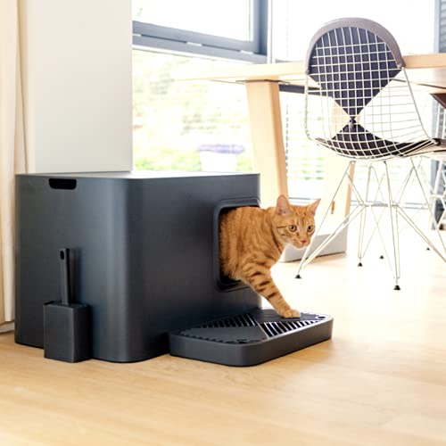 Hoopo® Dome Plus con Pala | arenero para Gatos | Mobiliario Interior | Rejilla colectora con pequeño contenedor extraíble | Hogar de Lujo para Gatos | Fácil Mantenimiento | 50 x 37.5 x 38 cm (Gris)