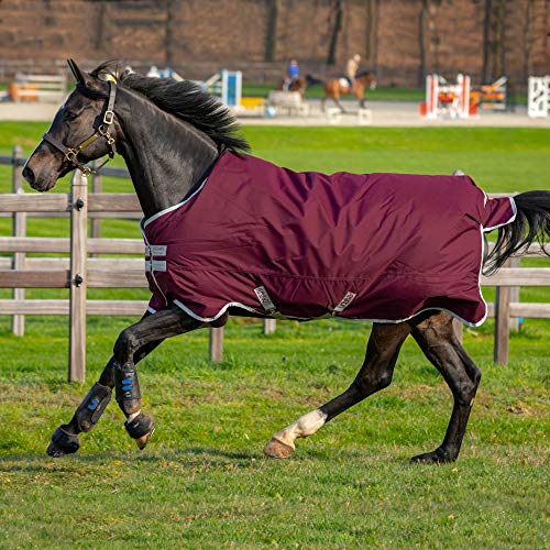 Horseware Amigo Hero Ripstop 200 g - Fig/Silver