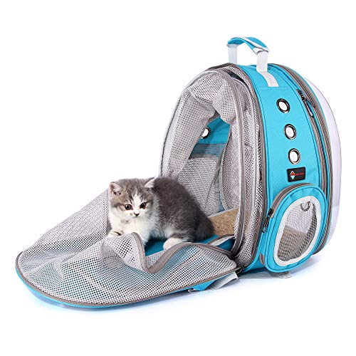 HOTLANTIS Transportin Gato Acolchado y Aceptado por Las Aerolíneas, Bolso Trasportín para Perros y Gatos Portátily Plegable para Perros Pequeños y Cachorros (Blue)
