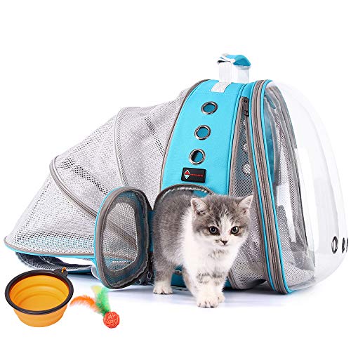 HOTLANTIS Transportin Gato Acolchado y Aceptado por Las Aerolíneas, Bolso Trasportín para Perros y Gatos Portátily Plegable para Perros Pequeños y Cachorros (Blue)