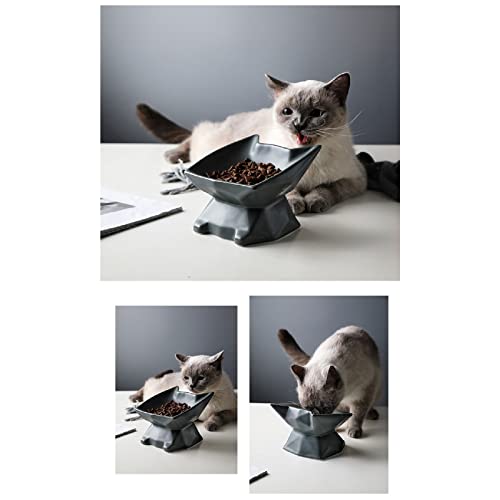 Houozon Comedero de cerámica Elevado para Proteger la Columna Vertebral de la Mascota - Plato de Porcelana Elevado para Alimentar a la Mascota sin estrés,Púrpura