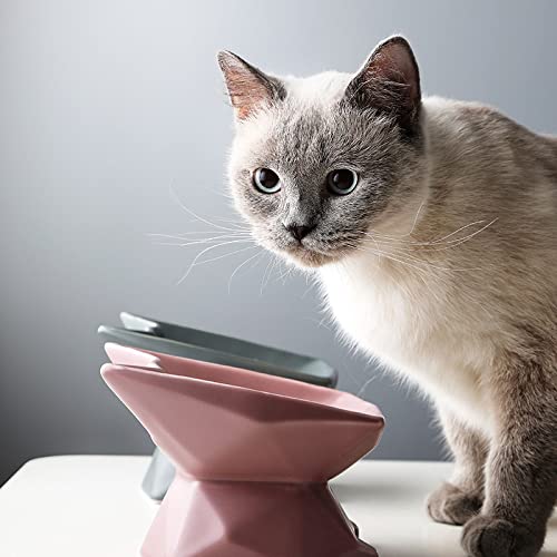 Houozon Comedero de cerámica Elevado para Proteger la Columna Vertebral de la Mascota - Plato de Porcelana Elevado para Alimentar a la Mascota sin estrés,Púrpura
