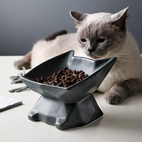Houozon Comedero de cerámica Elevado para Proteger la Columna Vertebral de la Mascota - Plato de Porcelana Elevado para Alimentar a la Mascota sin estrés,Púrpura
